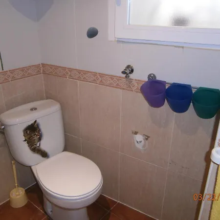 Chez Rose Et Patrick Apartment *